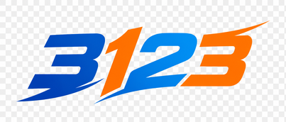 3123